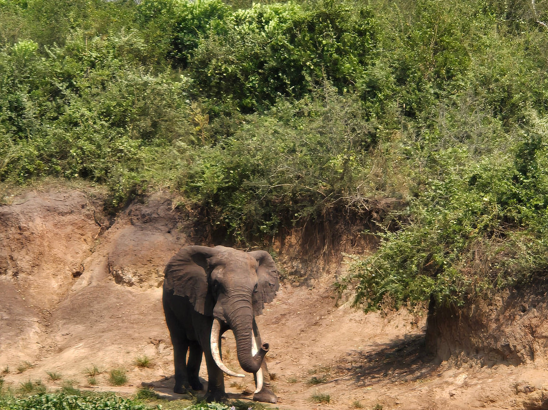 Frena Adventures-吉佳利必去景点