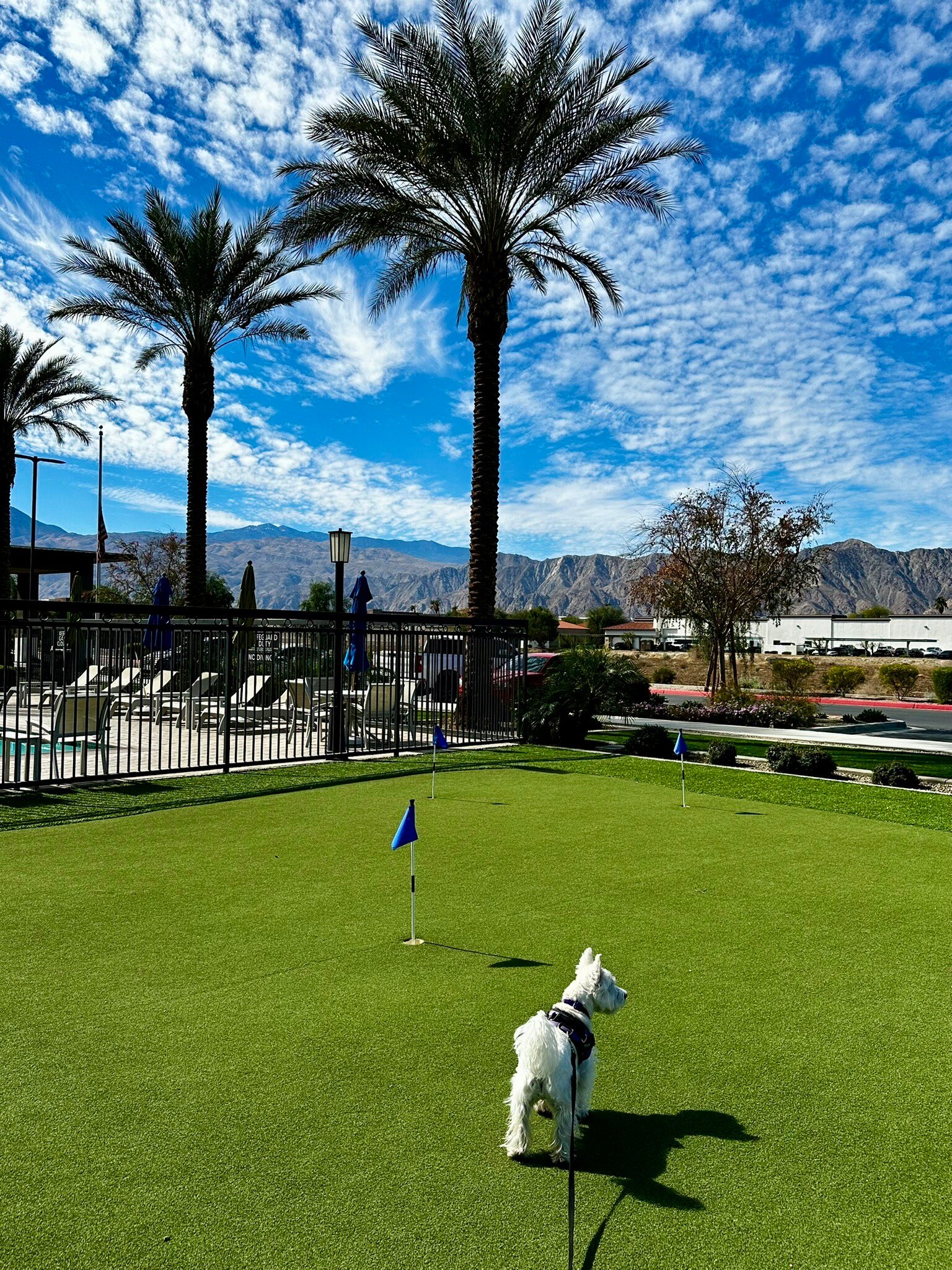 Residence Inn La Quinta-官方