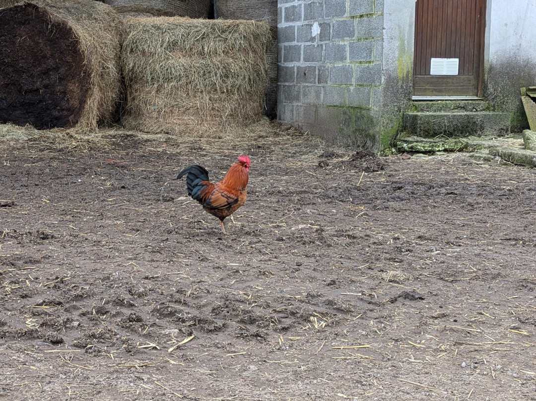 Ferme Pédagogique du Lieu Roussel景点图片
