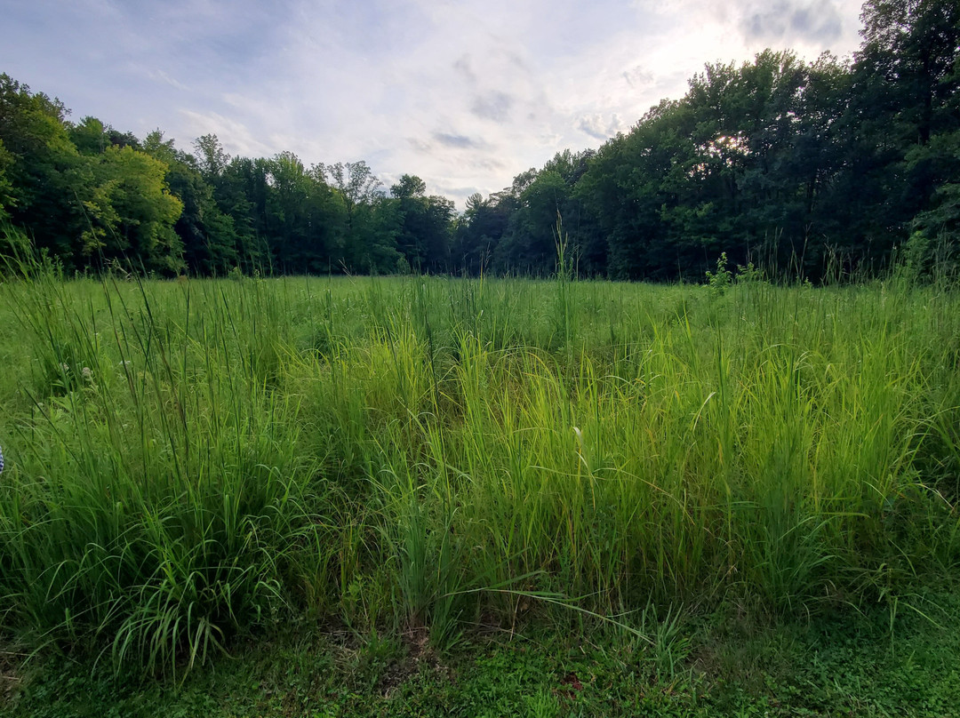 Brecksville Reservation-Brecksville必去景点