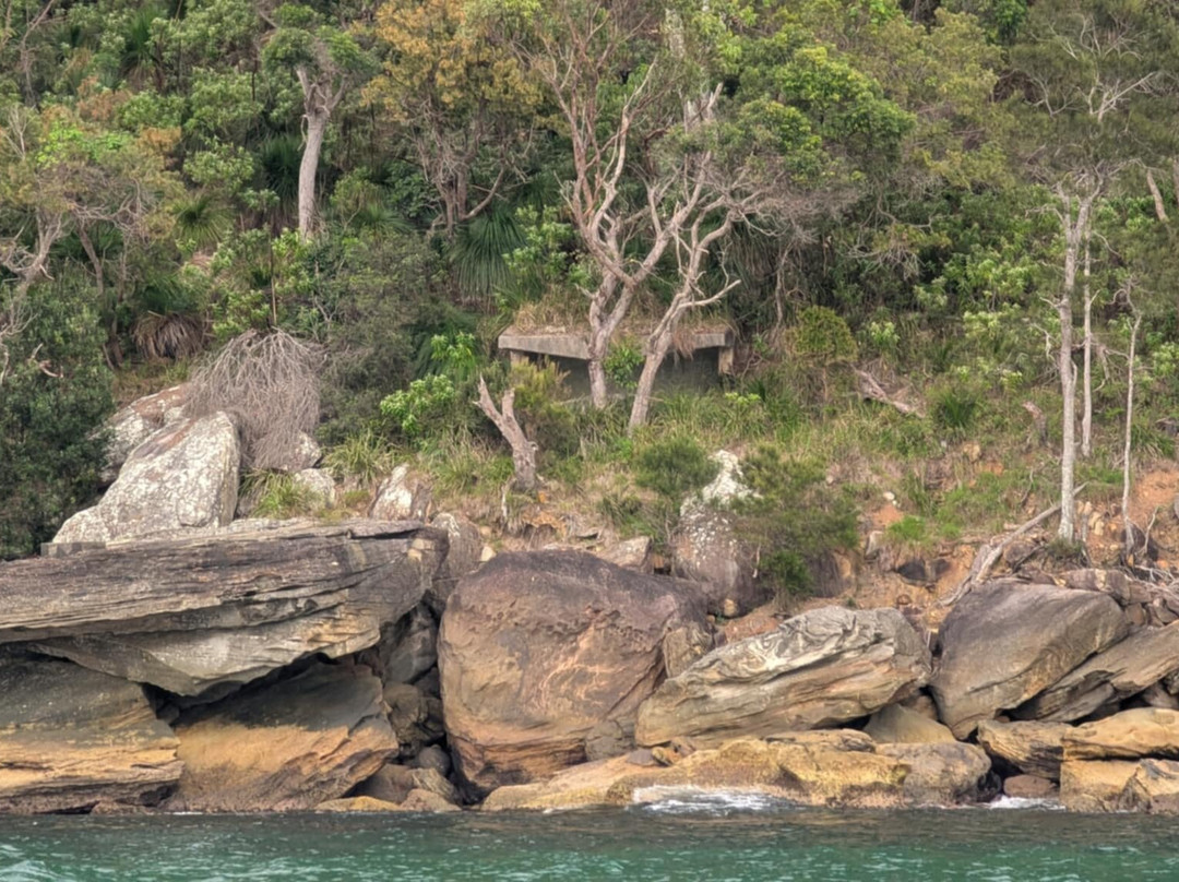 Area History Tours-Brooklyn必去景点