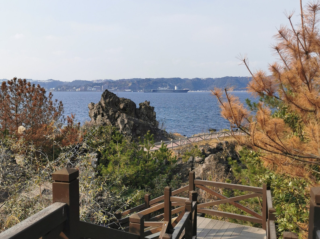 Sakurajima Lava Nagisa Promenade景点图片