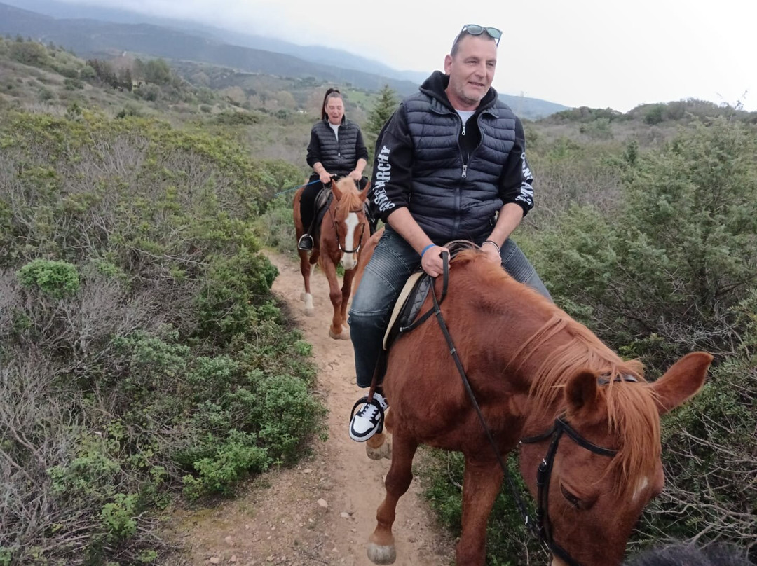 Centro Equestre Mirmex Asd-Quartucciu必去景点