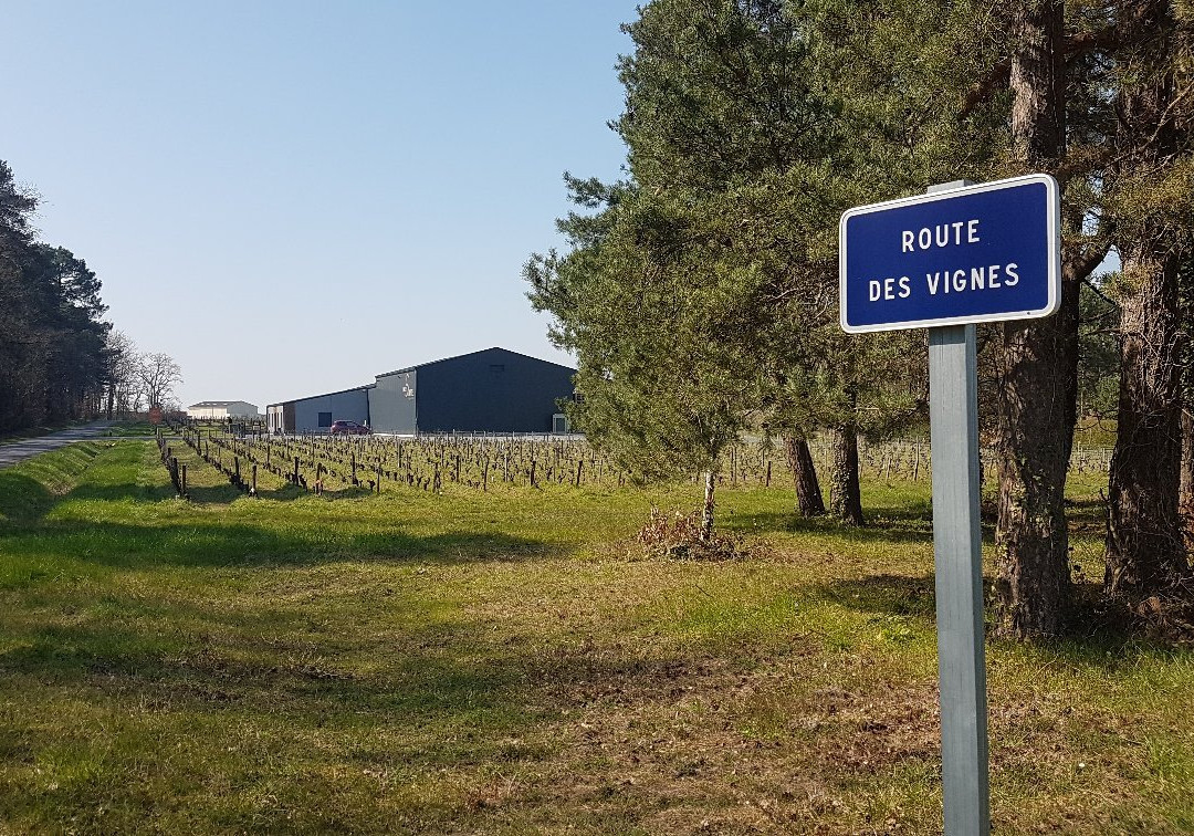 Domaine Sauvète景点图片