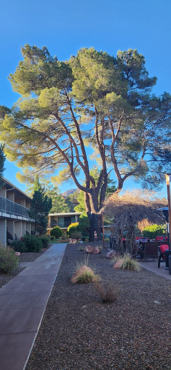 Arabella Hotel Sedona-浴室