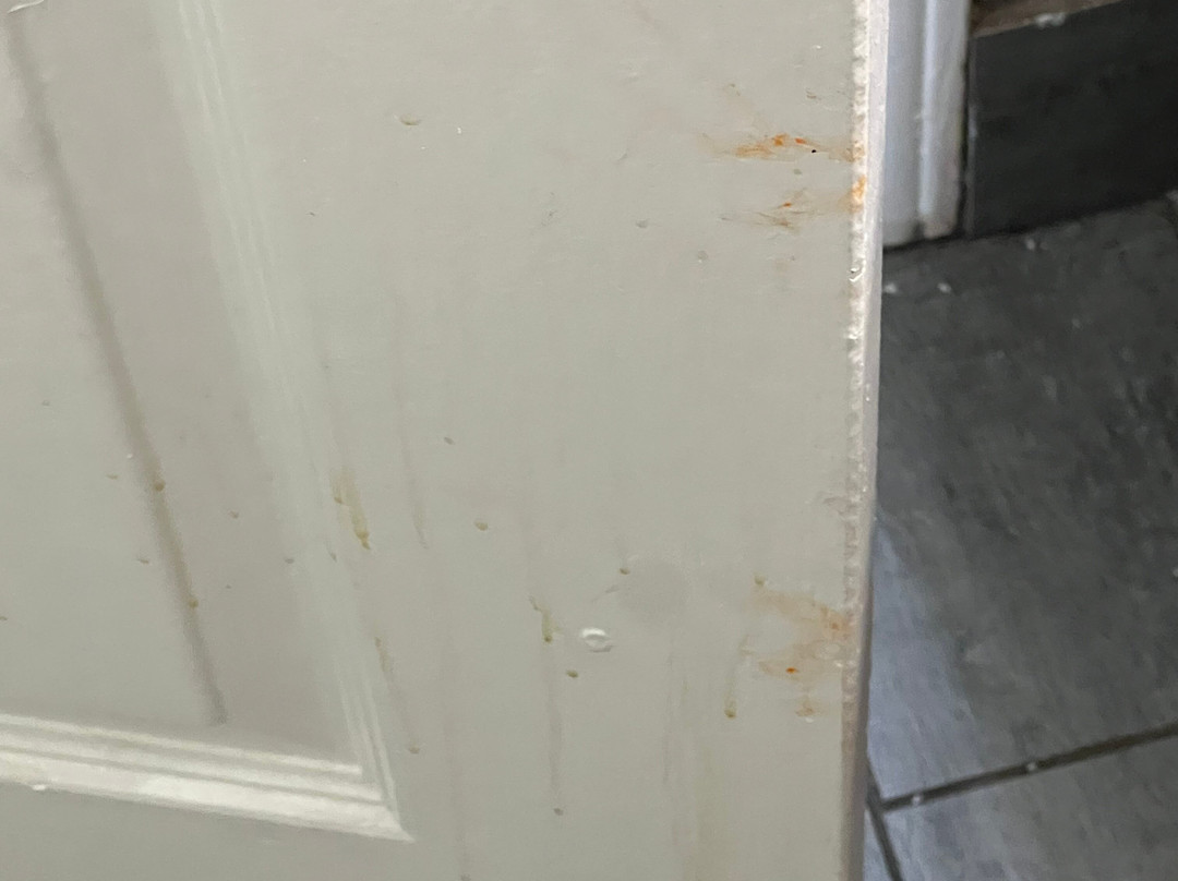 贝斯特韦斯特乡村套房酒店主图