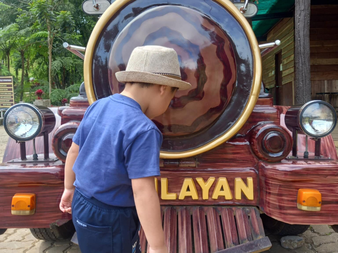 Dahilayan Forest Park Resort主图