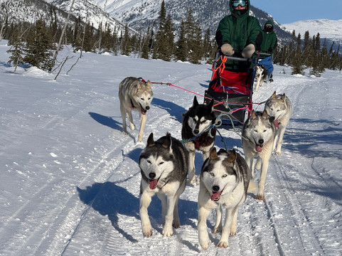 Arctic Dog Adventure Co.-费尔班克斯必去景点