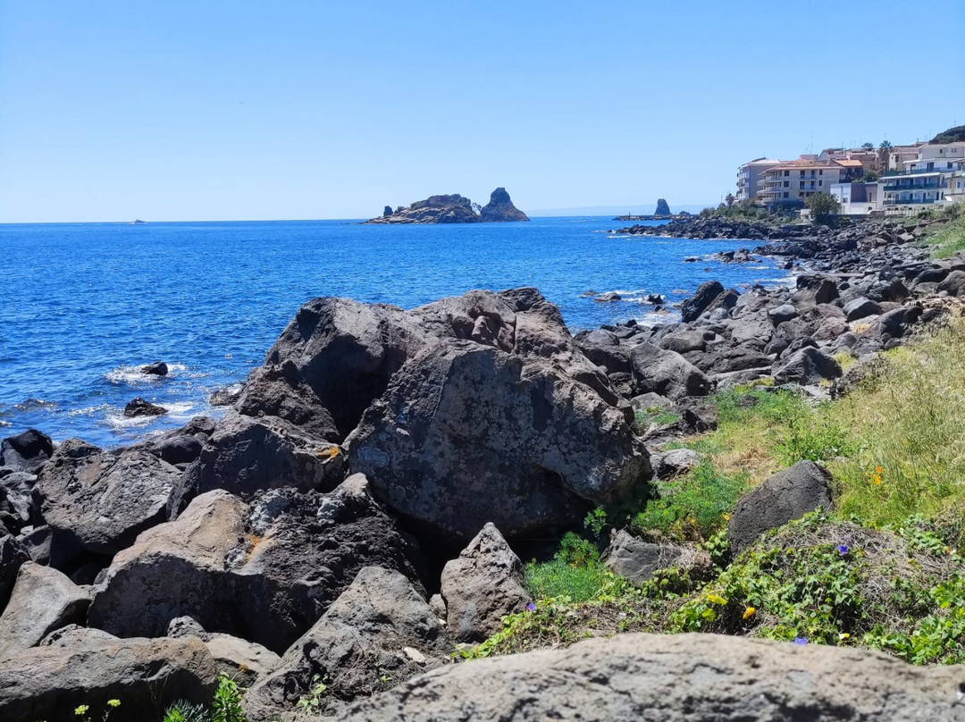 Villa delle Palme主图