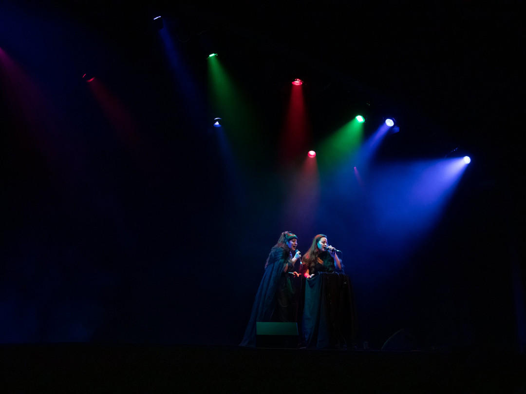 Northern Arts And Cultural Centre-黄刀镇必去景点