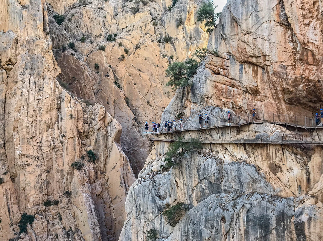 El Gran Gaitán景点图片