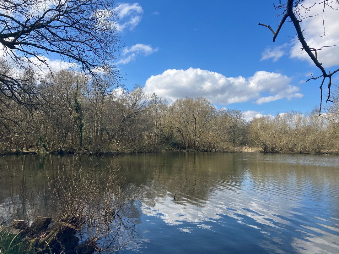 Sissinghurst Castle Estate Walking Trails景点图片
