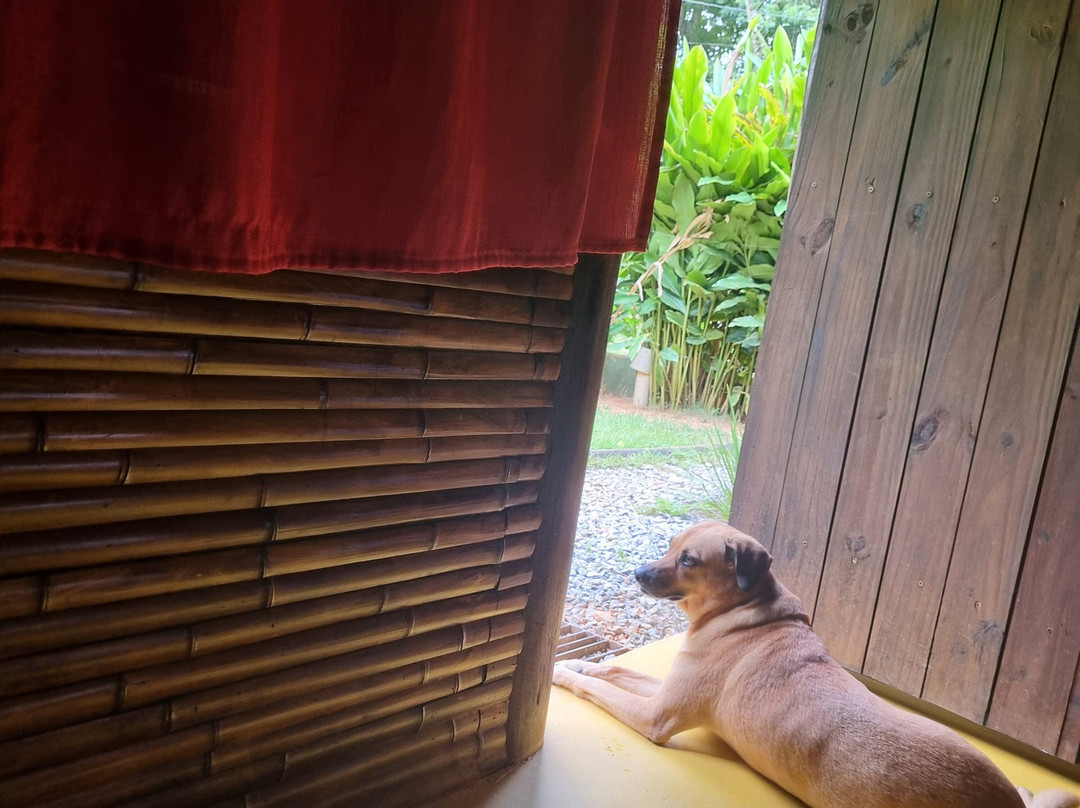 Bangalo de Barro主图