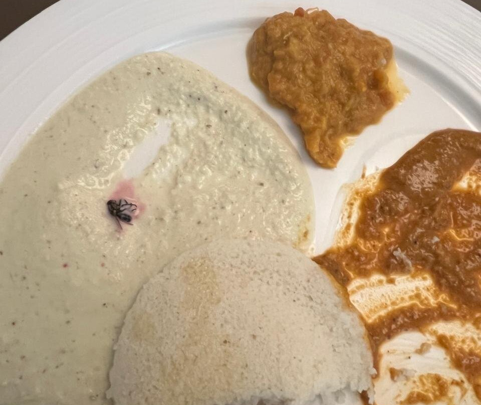 Hotel Shelton Rajamahendri主图