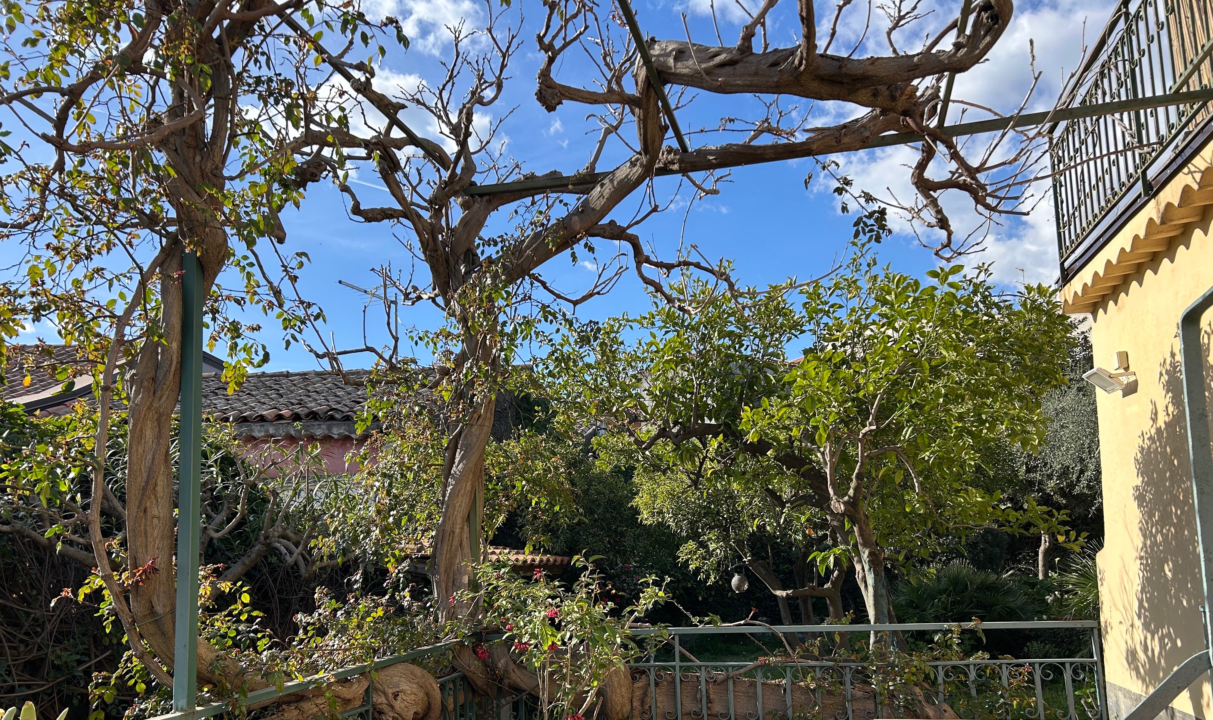 Bed & Breakfast Velardi-官方