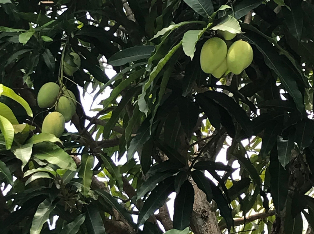 DAD Resort Phú Quốc主图