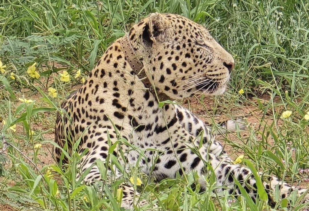 Gazzella Tours-温德和克必去景点