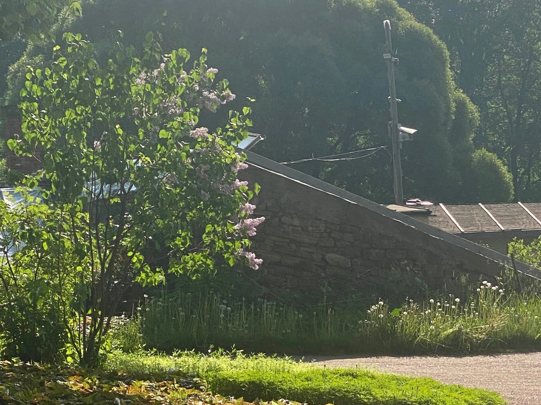 Garden Bode景点图片
