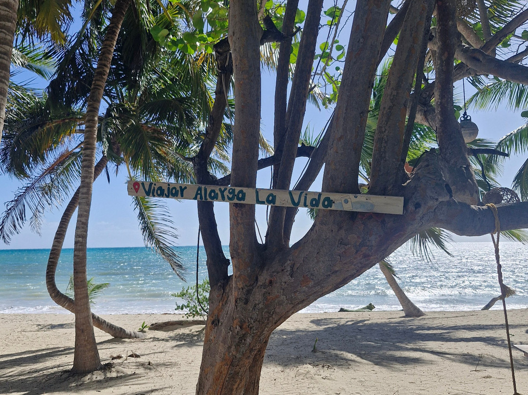 Hotel Cielo y Selva主图