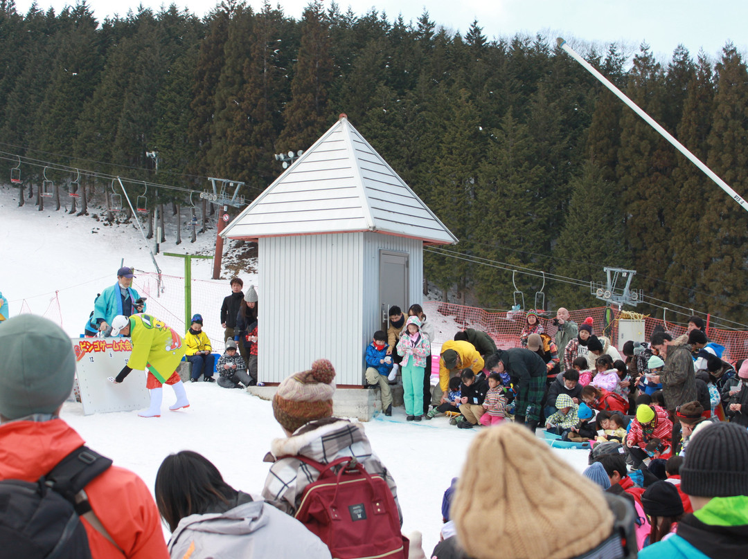 Ibukinosato Snow Resort-新见市必去景点