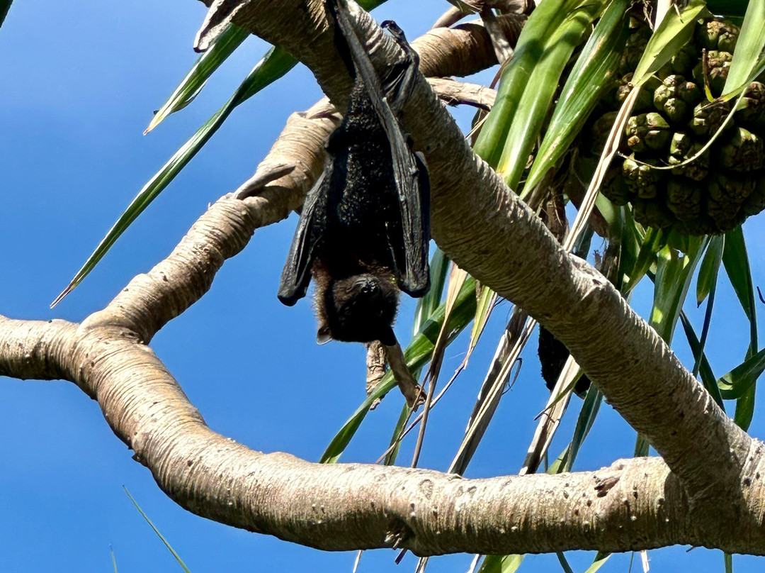 Sadie's by The Sea主图