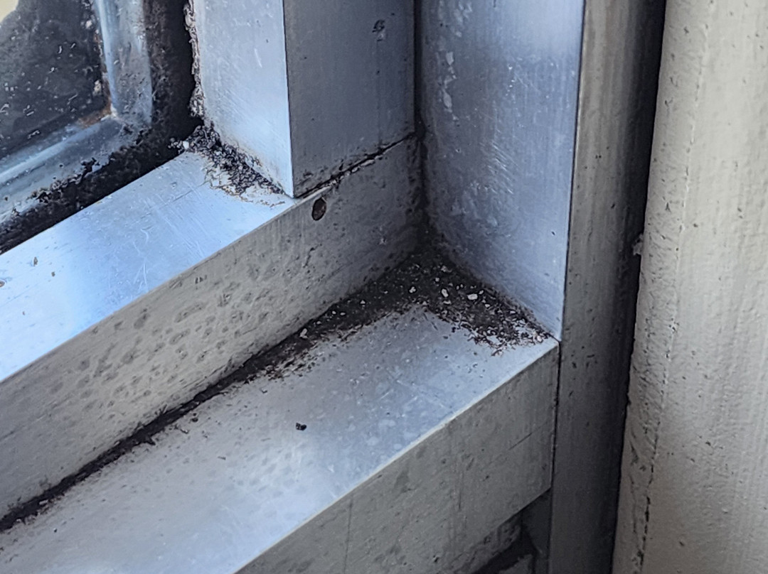 Travelodge by Wyndham Sydney主图