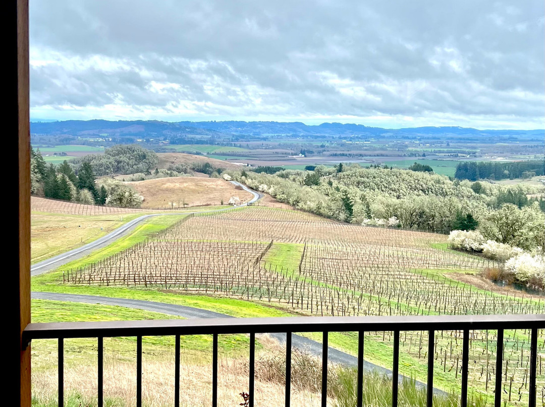 Youngberg Hill主图