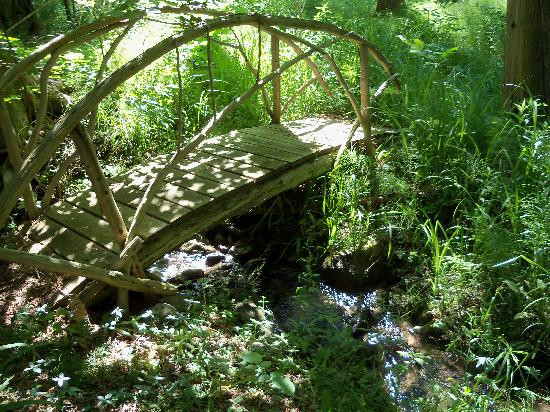 Whispering Waters主图