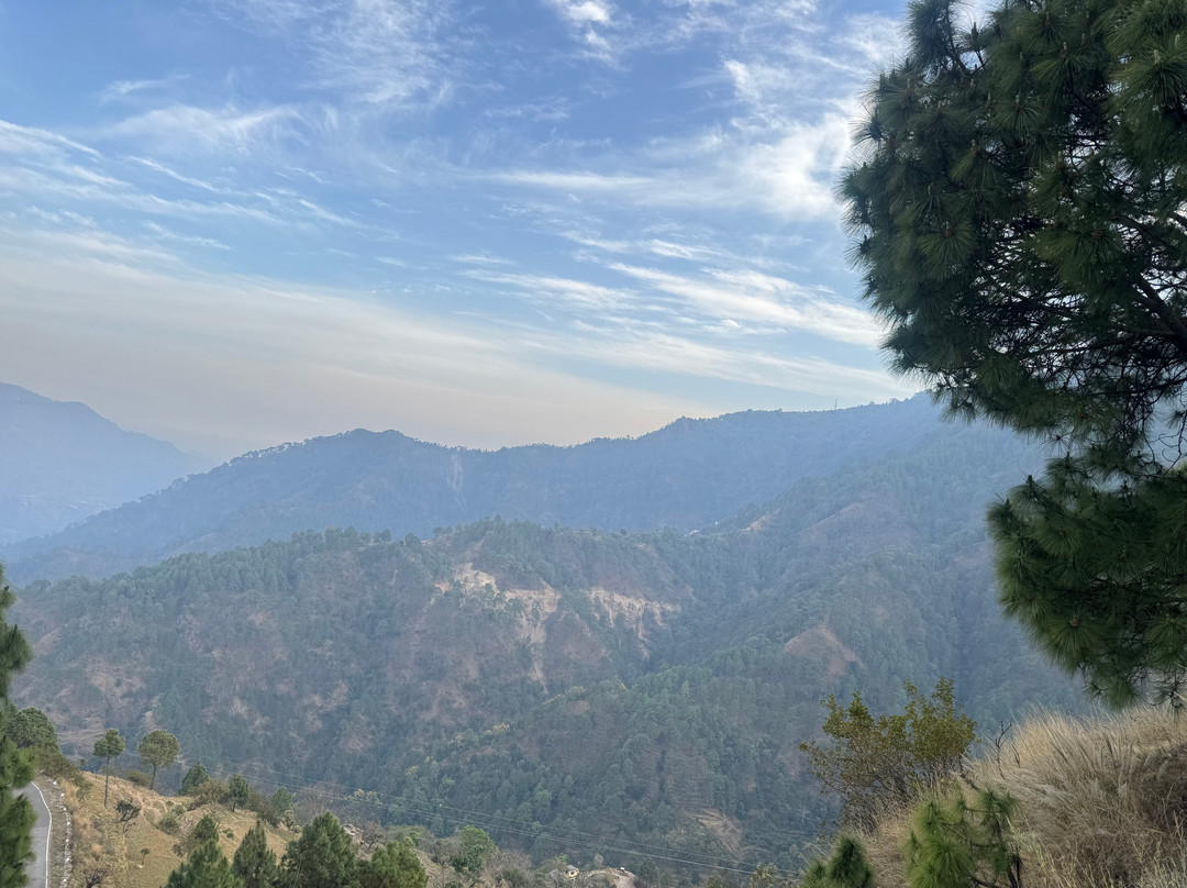 The Woods Retreat主图