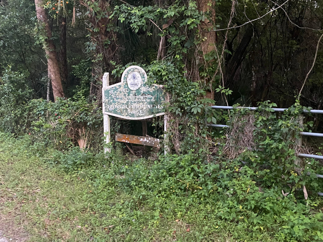 The Ann Stevens House主图