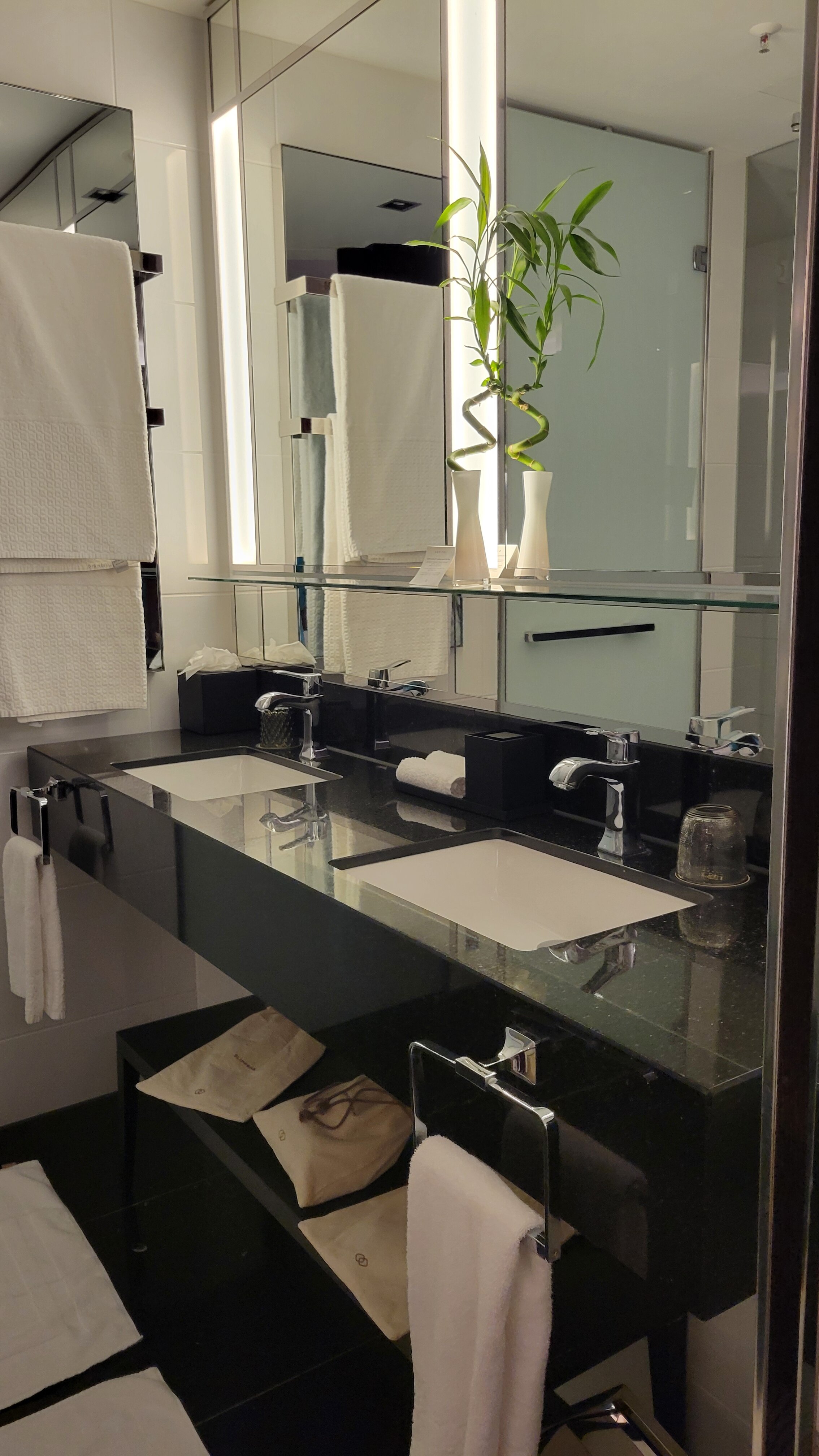 Sofitel Frankfurt Opera-浴室