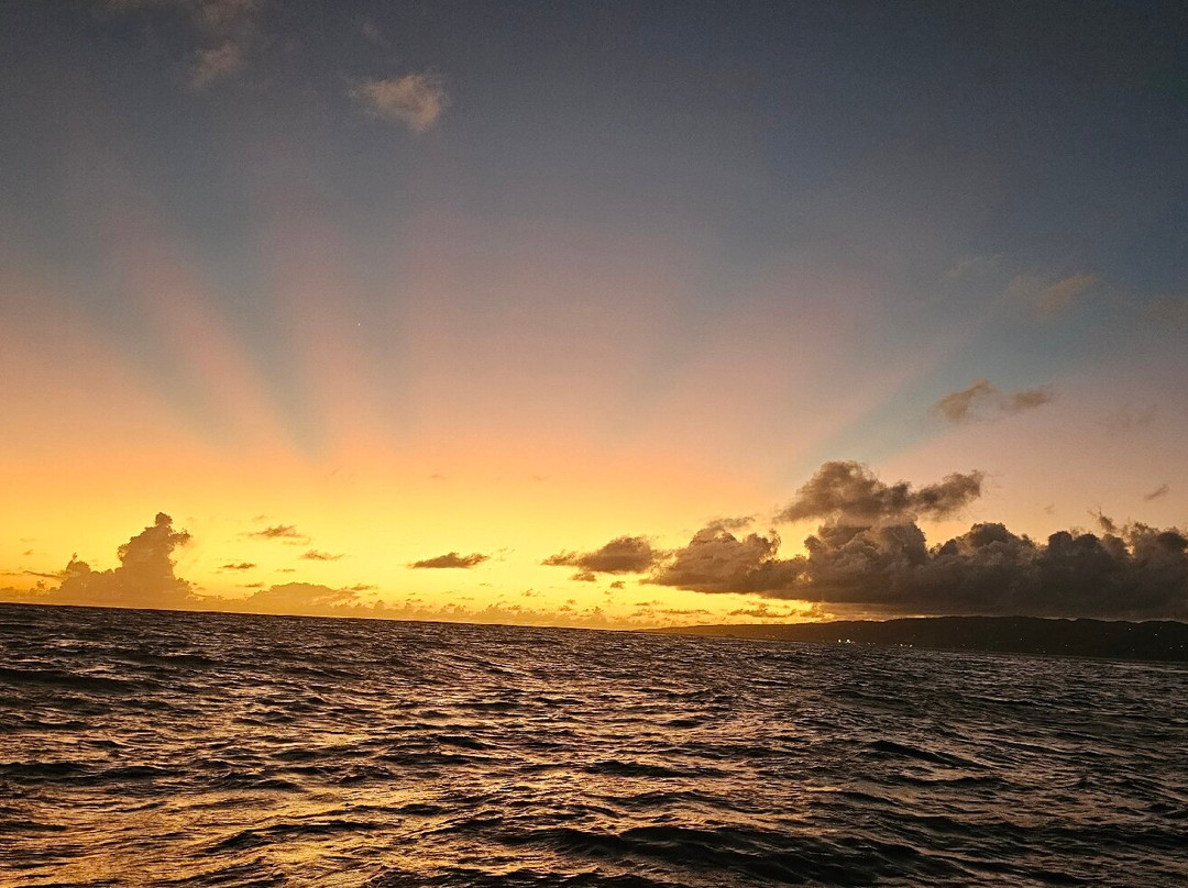 La Cabane d'Ete主图