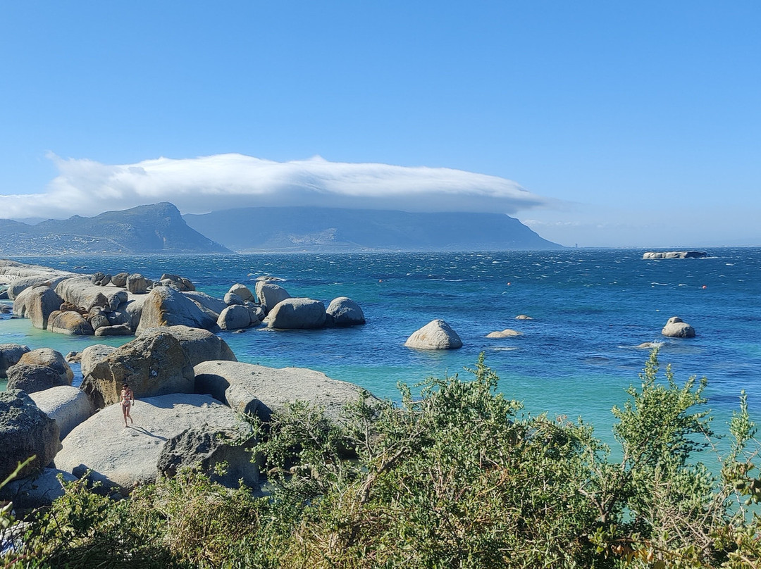 Seascape Tours-开普敦必去景点