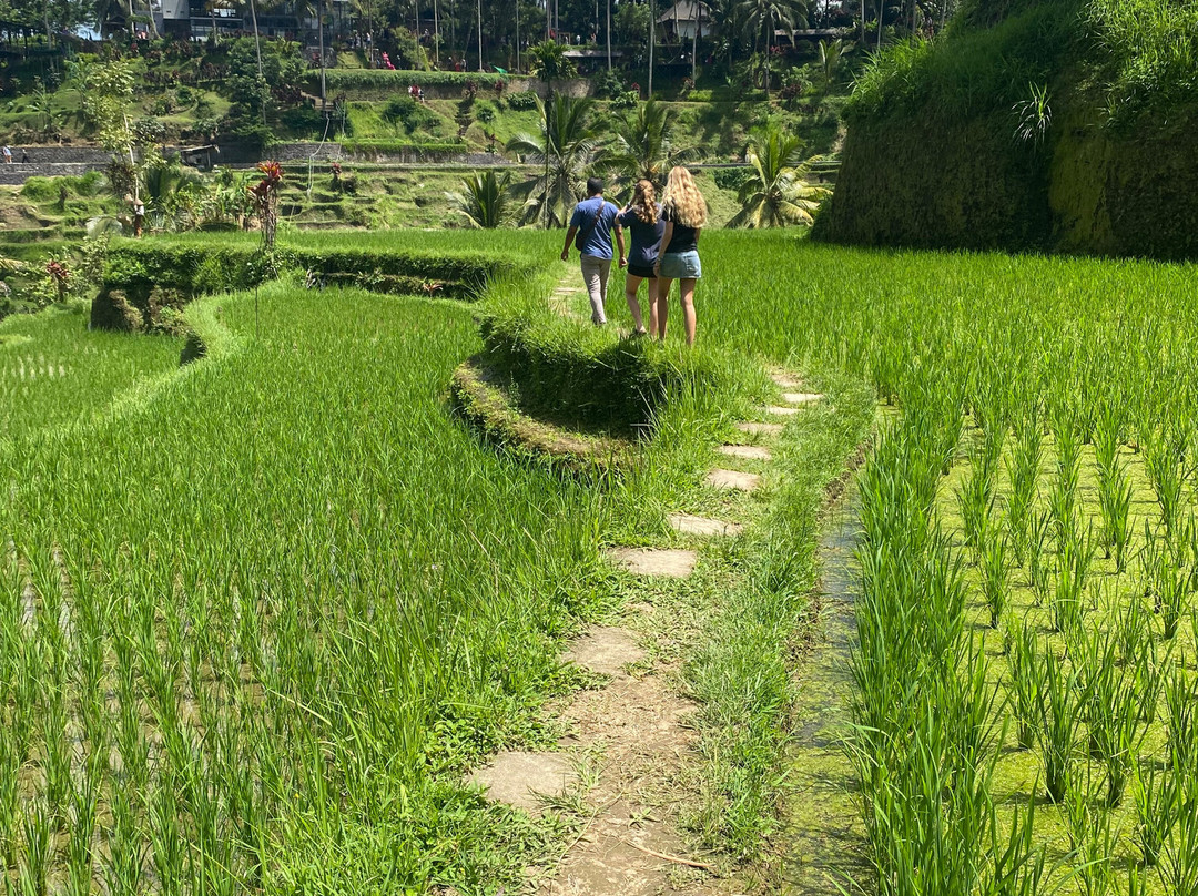 Rai Bali Tours景点图片