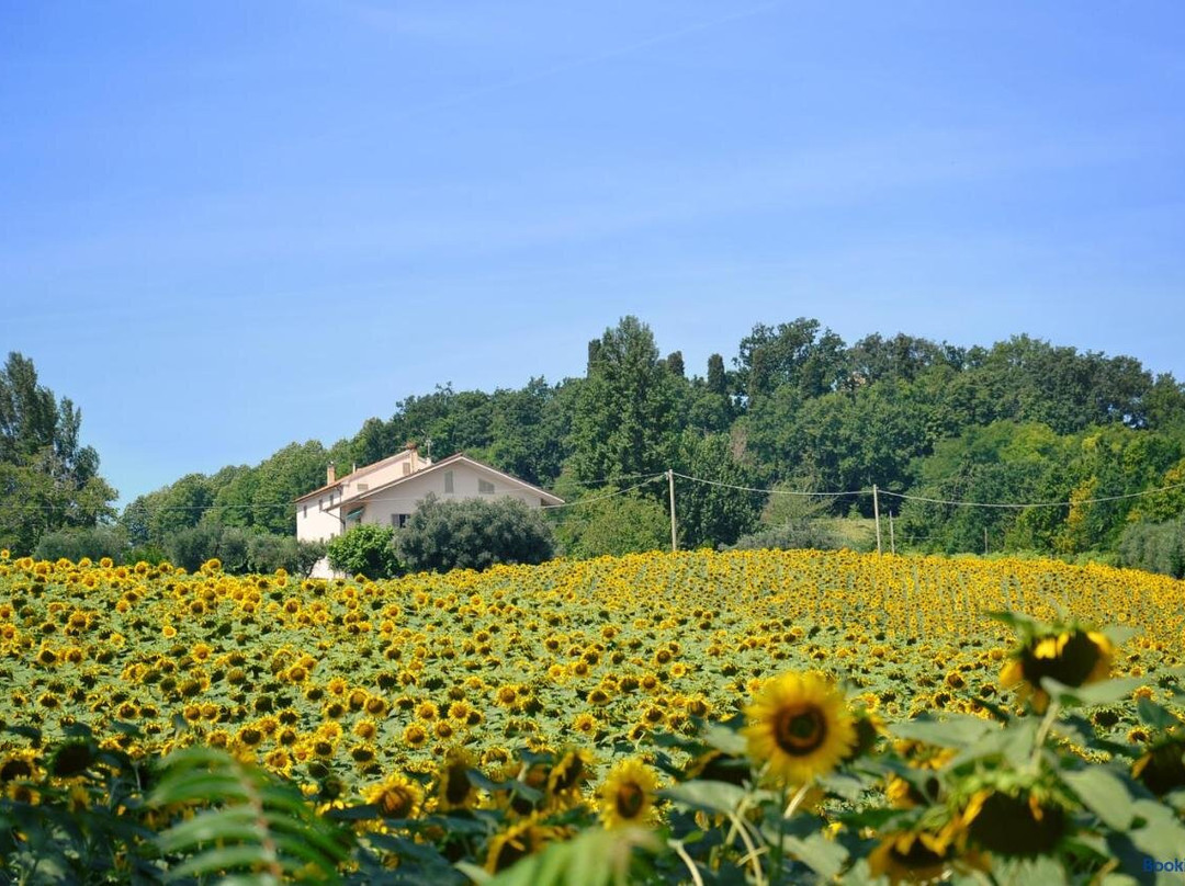 Le Piume B&B