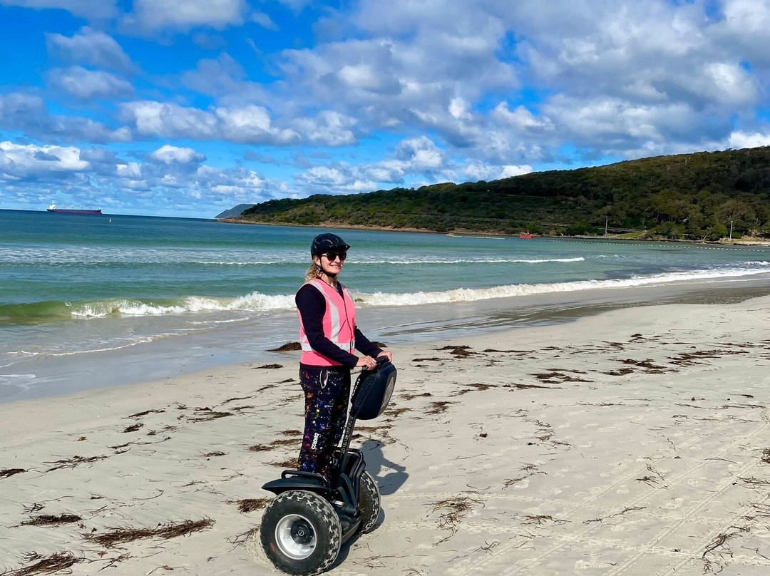 Albany Segway Tours-奥尔巴尼必去景点