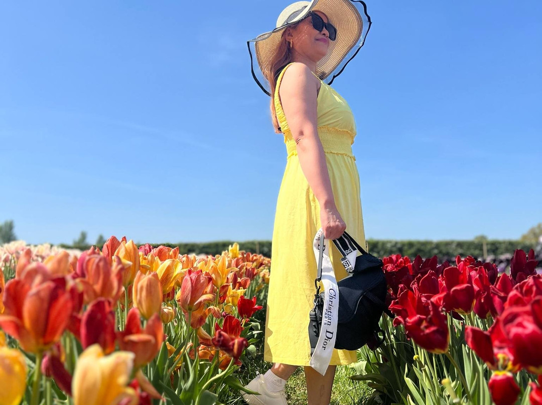 Tulleys Tulip Garden - Warwickshire景点图片