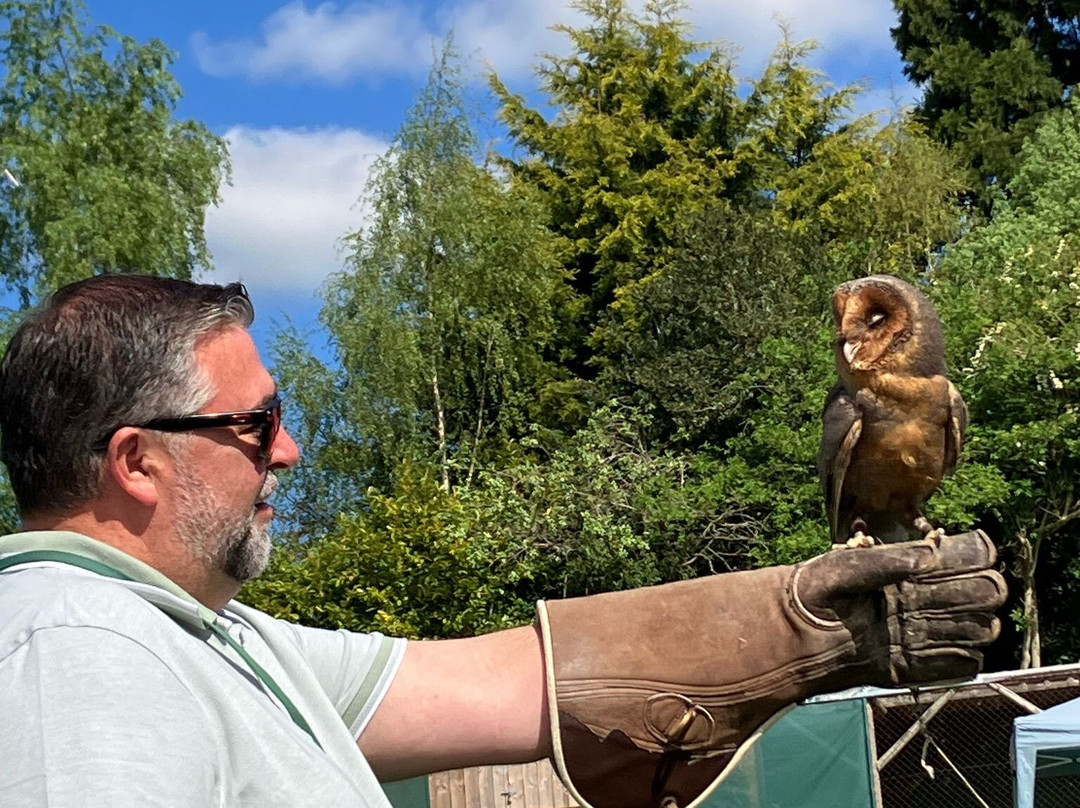 Thirsk Birds Of Prey Centre景点图片