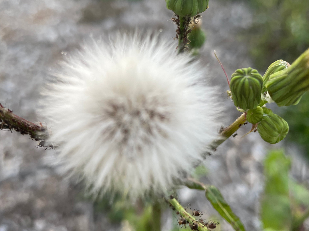 Swan Park Reserve Playground-Stratford必去景点