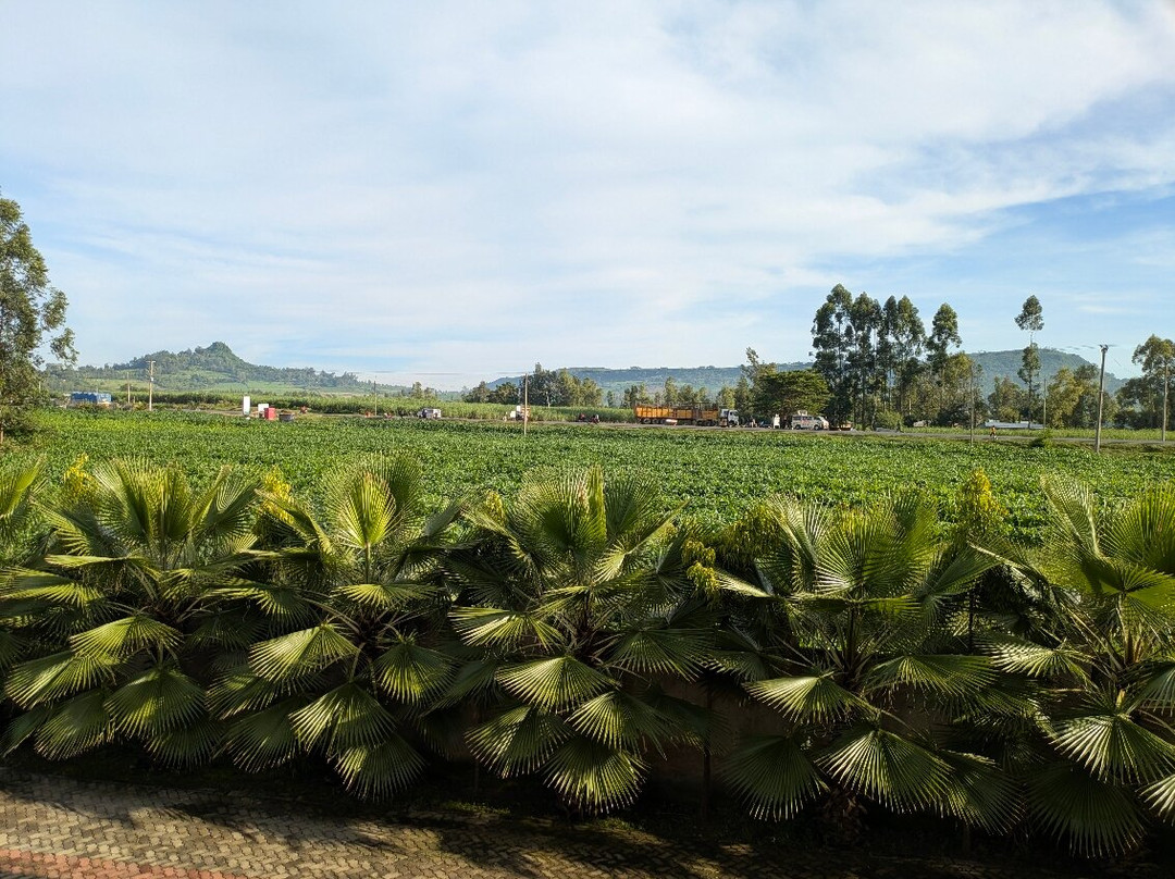 Koru Country Club