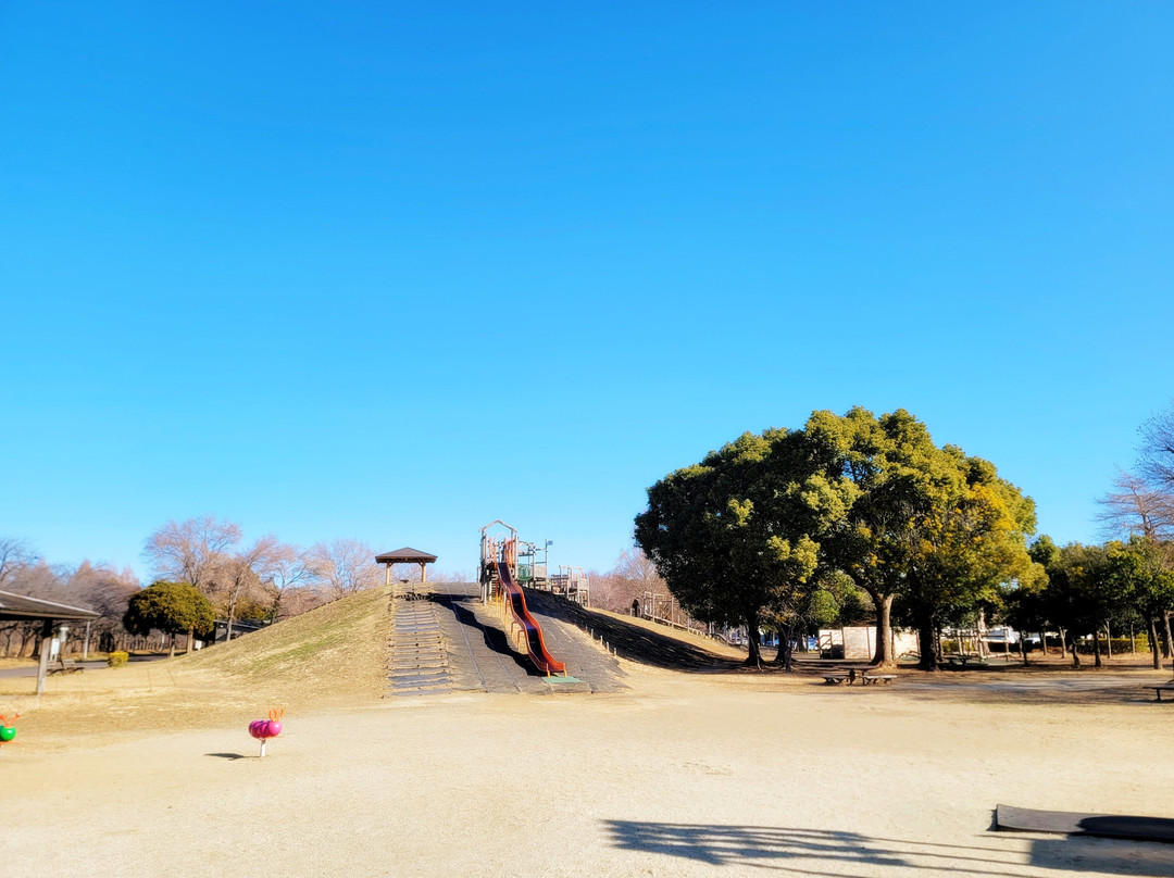 Misato Park-三乡市必去景点