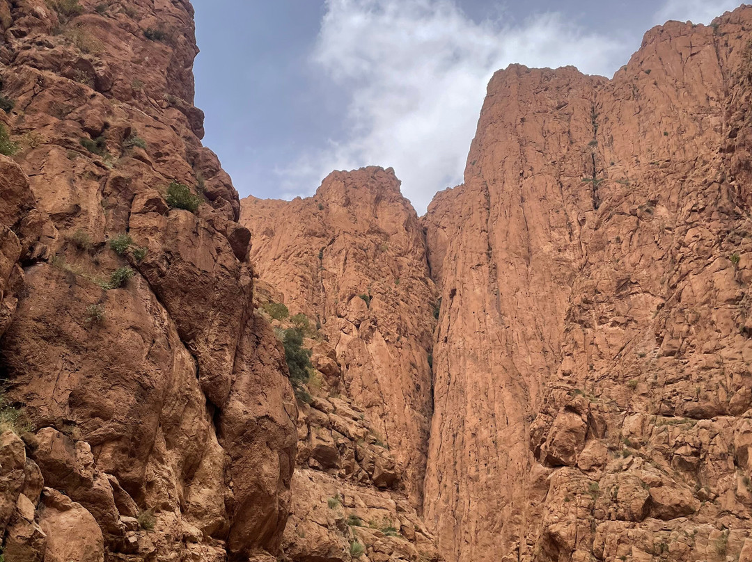 Sahara Feeling-扎古拉必去景点