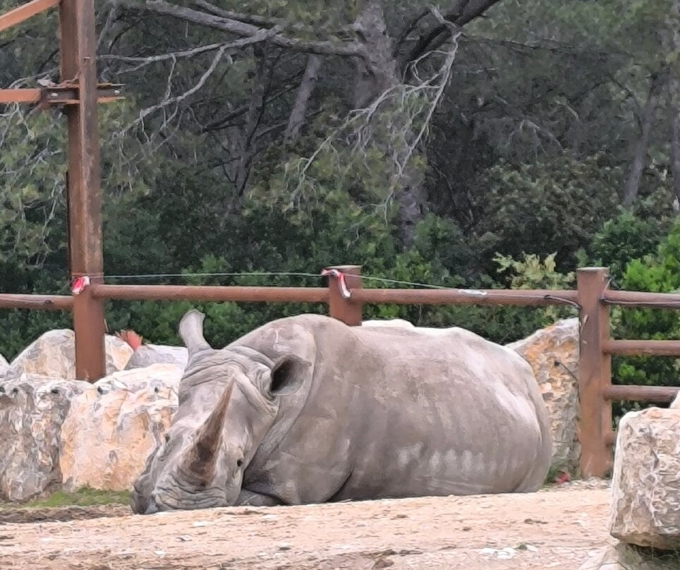 Parc de Lunaret - Zoo de Montpellier景点图片