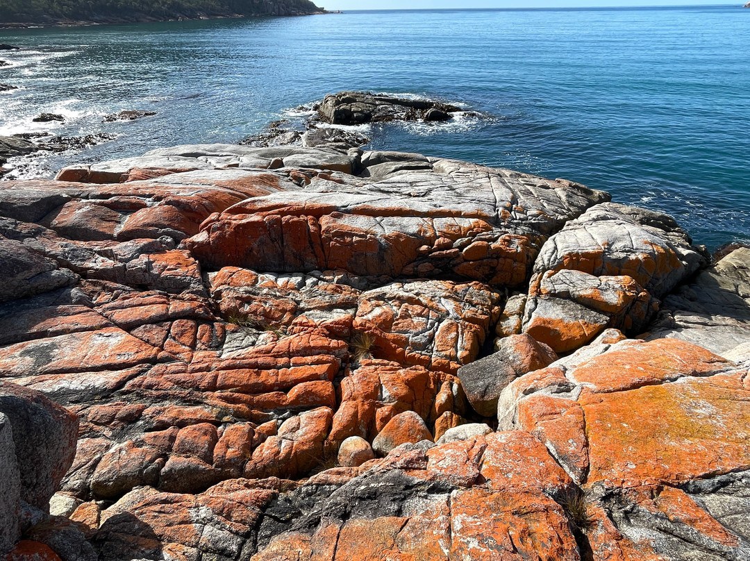 Wineglass Bay and Hazards Beach Circuit景点图片