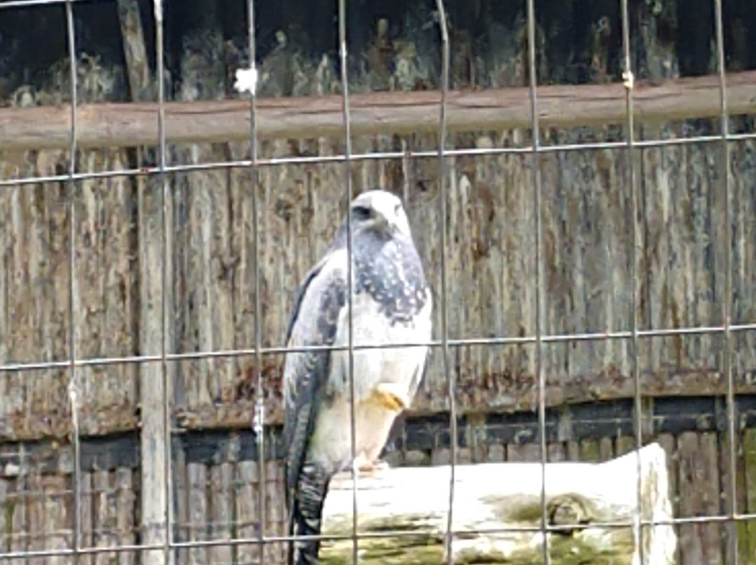 Condor Park-奥塔瓦洛必去景点