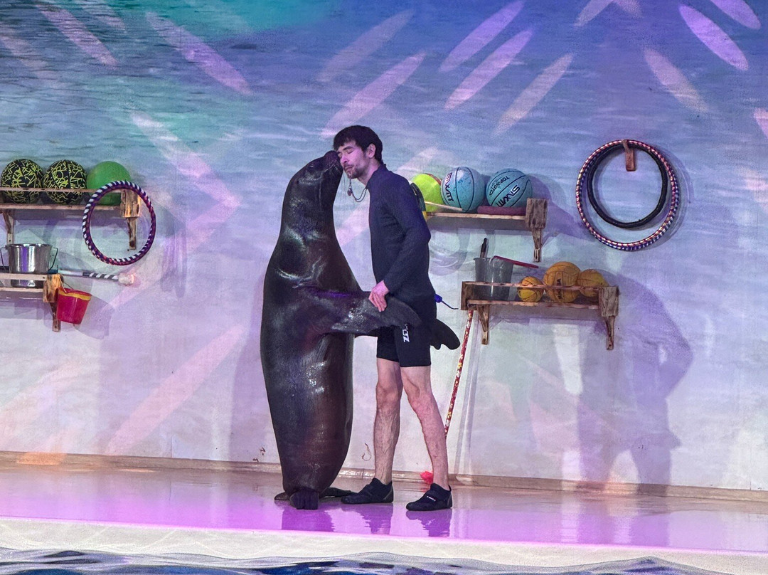 Dolphinarium Atlantida-下诺夫哥罗德必去景点
