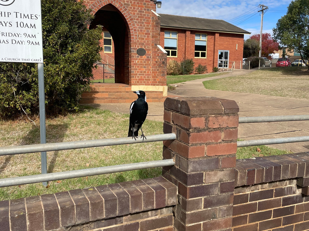Uniting Church- Cowra景点图片