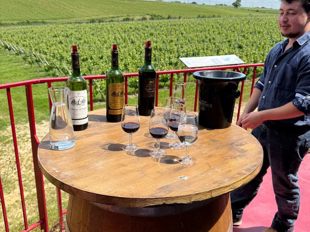 Château de Seguin-Lignan-De-Bordeaux必去景点