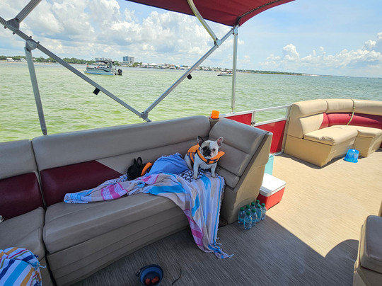 Hudson Marina-橙色海湾必去景点