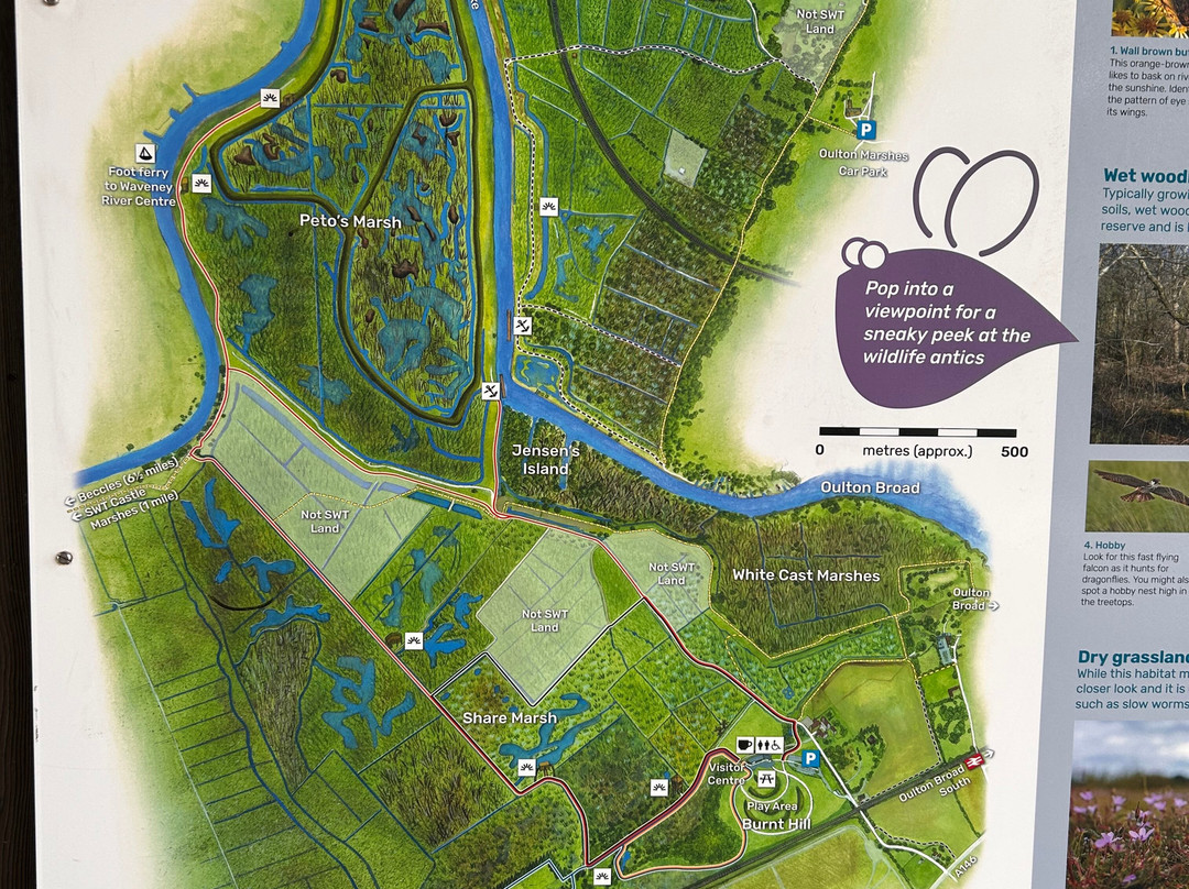 Carlton Marshes Nature Reserve景点图片